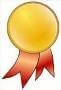 Prepaid365 Awards Winners Medal