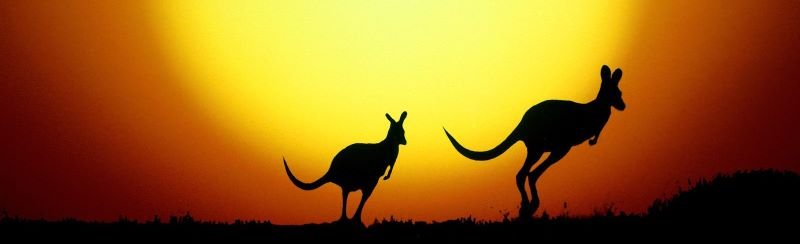 Australian Travel Market