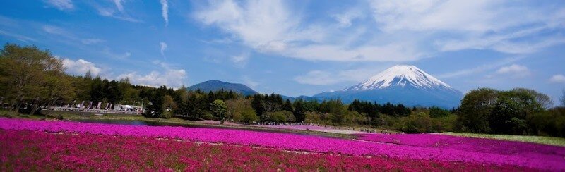 The best time to visit Japan with the weakening Yen