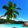 Holiday Bookings